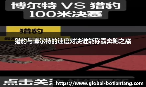 猎豹与博尔特的速度对决谁能称霸奔跑之巅